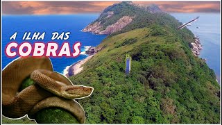 Visitamos a ILHA das COBRAS a ilha mais Perigosa do Mundo com 5 cobras por Metro quadrado [upl. by Atekin449]