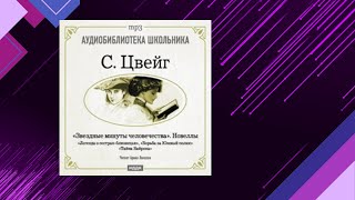 📘Звездные МИНУТЫ человечества Новеллы Стефан Цвейг Аудиофрагмент [upl. by Cassidy]