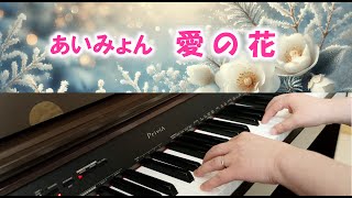 あいみょん「愛の花」【NHK朝ドラ】※一発撮り [upl. by Lahsiv]