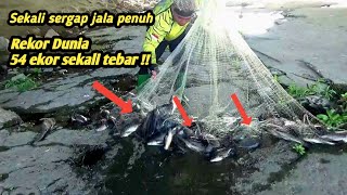 VIDEO JALA IKAN TERBAIK DUNIA SEKALI TEBAR SEKARUNG [upl. by Naivat372]