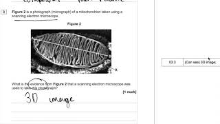 AS Biology AQA 2016 Paper 1 Q3 explanations amp exam technique ATP and microscopy [upl. by Crawford]