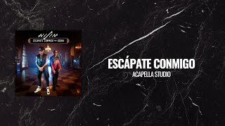 Escápate Conmigo  Wisin Ozuna Acapella Studio [upl. by Neyut]