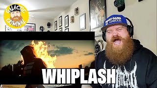 Architects  Whiplash  Reaction  Review [upl. by Enirhtac]