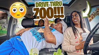 WE ALMOST GOT ATE BY WILD ANIMALS IN A DRIVE THRU ZOO HILARIOUS [upl. by Flita560]