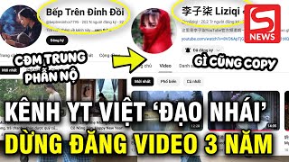 Netizen xứ Trung tố Youtuber Việt bắt chước Lý Tử Thất cả việc quotngừng đăng video trong 3 nămquot [upl. by Mayor175]