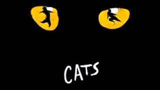 cats musical Medley [upl. by Nannette]