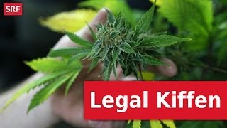 Legal Kiffen  Cannabis Social Clubs  Genfer wollen zivilen Ungehorsam SRF [upl. by Ykcub445]