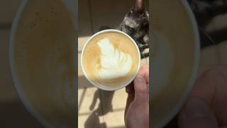 oat milk latte practice coffee coffeeathome latteart latte coffeelover coffeeart coffeecat [upl. by Ahcire]