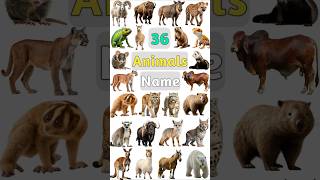 Animals Name  Part03 animalsname animalname animalnameforkids animalnames wildanimals animal [upl. by Torey]