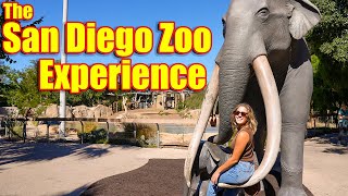 San Diego Zoo Experience  What to Expect [upl. by Amaso]