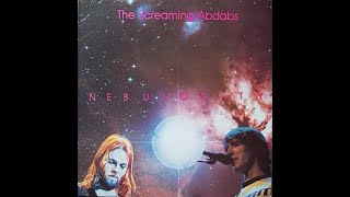 The Screaming Abdabs quotNEBULOSITYquot 1971 72 vinyl [upl. by Nirrol]