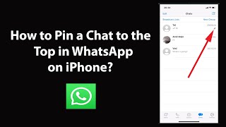 How to Pin a Chat to the Top in WhatsApp on iPhone [upl. by Lasiaf]