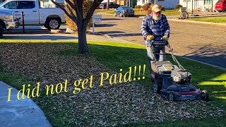 Toro Timemaster Leaf Cleanup [upl. by Neelear]