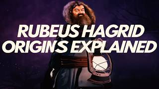 quotRubeus Hagrid Origins Explainedquot Harry Potter [upl. by Weig]