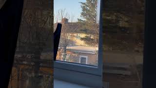 How to remove condensation on windows 🧼✨ condensation hack [upl. by Gaultiero]