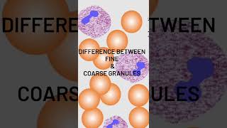 Fine granules vs Coarse granules medical science trending viralshort youtube [upl. by Stoll]