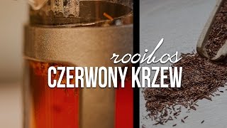 Rooibos herbata jak parzyć czerwonokrzew właściwości Czajnikowypl [upl. by Nedgo]