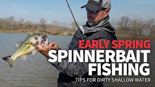 EARLY Spring Spinnerbait Fishing How to Catch Bass in DIRTY Shallow Water [upl. by Goggin]