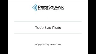 Trade Size Alerts [upl. by Bagger357]