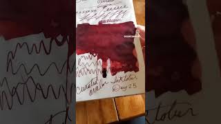 Too much fountain pen ink Onion Skin Journal paper is fountain pen friendly onionskinjournal [upl. by Avaria]