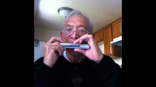 Tombo S50 chromatic harmonica playing quotCry me a riverquot in G [upl. by Geraud]