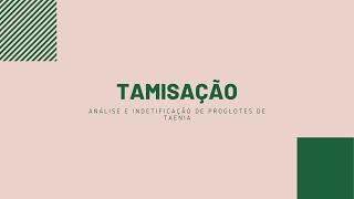 TÉNICA DE TAMISAÇÃO quotIdentificação de proglotes de Taeniaquot [upl. by Yvette]