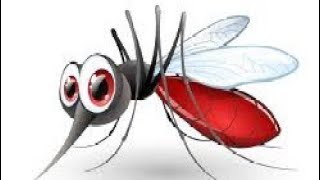 കൊതുകിനെ കൊല്ലണ്ട രീതി mosquito how to kill mosquito [upl. by Lawrence]