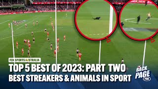 Top 5 Best of 2023 Part 2 Elite streakers amp animals in sport  The Back Page  Fox Sports Australia [upl. by Aneris298]