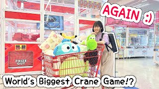 World’s Biggest Crane Game… AGAIN 30000 YEN CHALLENGE [upl. by Hnahc]