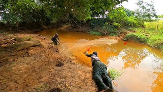 Córrego lotado de traíras gigantes Pescaria foi de arrepiar [upl. by Eiclud516]