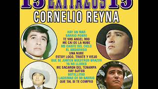 Que Tal Si Te Compro Cornelio Reyna [upl. by Islehc]