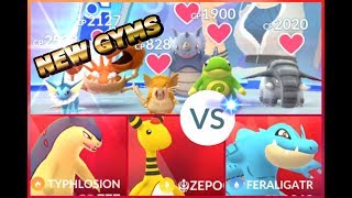 Pokémon GO NEW Gym Battles Level 6 Politoed Typhlosion Exeggutor Persian Muk amp more [upl. by Clair]