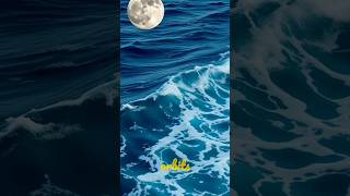 How moon is affecting ocean tides sciencefacts snapsciencedidyouknow oceanfacts moonfacts [upl. by Louisette]