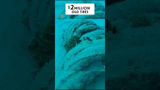 Florida spent 2 million to clean the ocean foryou ocean experiment pourtoi [upl. by Maillil]