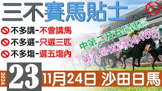 賽馬貼士 24年11月24日 沙田日馬赛马贴士三不賽馬貼士香港賽馬貼士免費賽馬貼士賽馬 [upl. by Greenes]