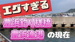 豊浜漁港・豊浜釣り桟橋がヤバすぎる‼️なんでこうなった⁉️ 20240908 [upl. by Toby]