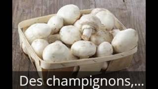 Faire pousser des Champignons de Paris à lécole [upl. by Desdee]