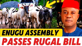 Breaking News Enugu Assembly passes Public Ranch Management Agency Bill [upl. by Yltnerb]