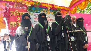 আলকলম মাদরাসা নিয়ে শিক্ষার্থীদের সঙ্গীত। AlQalam Model MadrasahJhenaidah [upl. by Aivatco]