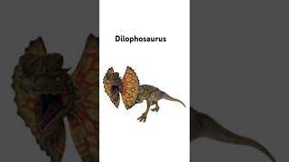 Dilophosaurus evolv meme dinosour [upl. by Elokin219]