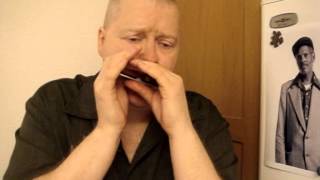 Albatross  acoustic harmonica  Peter Green Fleetwood Mac cover [upl. by Harshman]