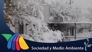 Espectacular nevada en Chihuahua  Noticias de Ciudad Juárez [upl. by Daryn232]