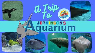 Trip to Jenkinsons Aquarium  Point Pleasant Beach NJ 4K Video Tour June 2022 [upl. by Meridel]