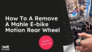 How To A Remove A Mahle Ebike Motion Rear Wheel  We Cycle [upl. by Renata]