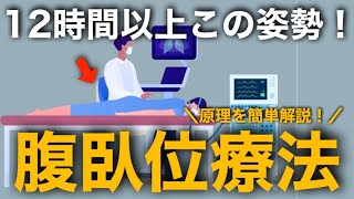 コロナや呼吸不全で実施される腹臥位療法（prone position）の原理や看護について簡単に解説 [upl. by Hiasi]