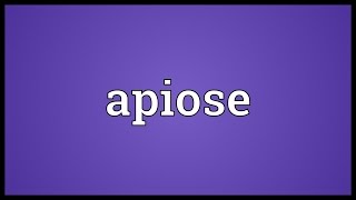 Apiose Meaning [upl. by Gorman930]