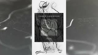 Charlie Cunningham  Frame [upl. by Rahcir]