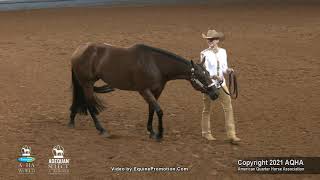 2021 AQHA Amateur Showmanship [upl. by Saw194]