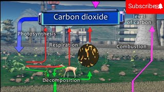 Carbon cycle  Carbon cycle animation [upl. by Disini877]