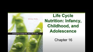 Infants Childhood and Adolescence Chapter 16 [upl. by Schuman]